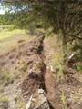 3995 Forest Svc Rd 249 - Photo 118
