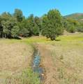 3995 Forest Svc Rd 249 - Photo 119