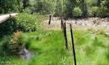 3995 Forest Svc Rd 249 - Photo 122