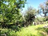 3995 Forest Svc Rd 249 - Photo 126