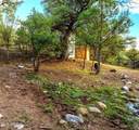 3995 Forest Svc Rd 249 - Photo 132