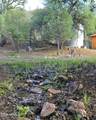 3995 Forest Svc Rd 249 - Photo 135