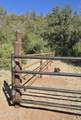 3995 Forest Svc Rd 249 - Photo 140