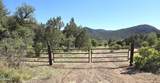 3995 Forest Svc Rd 249 - Photo 141