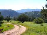 3995 Forest Svc Rd 249 - Photo 142