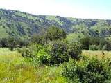 3995 Forest Svc Rd 249 - Photo 144