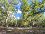 3995 Forest Svc Rd 249 - Photo 98