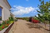 28217 Finch Trail - Photo 49