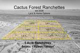 1850 Cactus Forest Road - Photo 1
