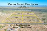 1850 Cactus Forest Road - Photo 2