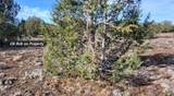 12700 Madman Mountain Road - Photo 53