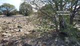 12700 Madman Mountain Road - Photo 54