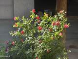 80 Adobe Trail - Photo 13