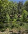 10630 Oak Creek Trail - Photo 44