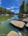 1501 Beeline Highway - Photo 41