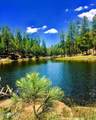 1501 Beeline Highway - Photo 42