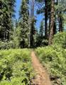 1501 Beeline Highway - Photo 46