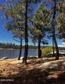 1501 Beeline Highway - Photo 48