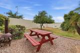 8729 Carole Lane - Photo 42