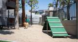 4215 Drinkwater Boulevard - Photo 13