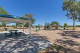 34195 Alison Drive - Photo 51