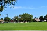 6967 Potter Drive - Photo 49