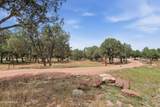 2404 Palmer Drive - Photo 61