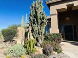 5898 Chuckwalla Trail - Photo 53