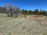 1301 Lakeside Trail - Photo 5