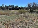 1301 Lakeside Trail - Photo 7