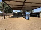 642 Cornman Road - Photo 30