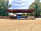 642 Cornman Road - Photo 4