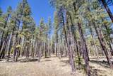 9586 Sierra Springs Way - Photo 2