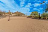 2439 Donatello Drive - Photo 62