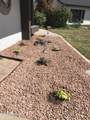 5318 Shaw Butte Drive - Photo 9