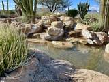 5898 Chuckwalla Trail - Photo 42