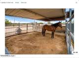 512 Jordon Lane - Photo 46