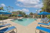10101 Arabian Trail - Photo 29