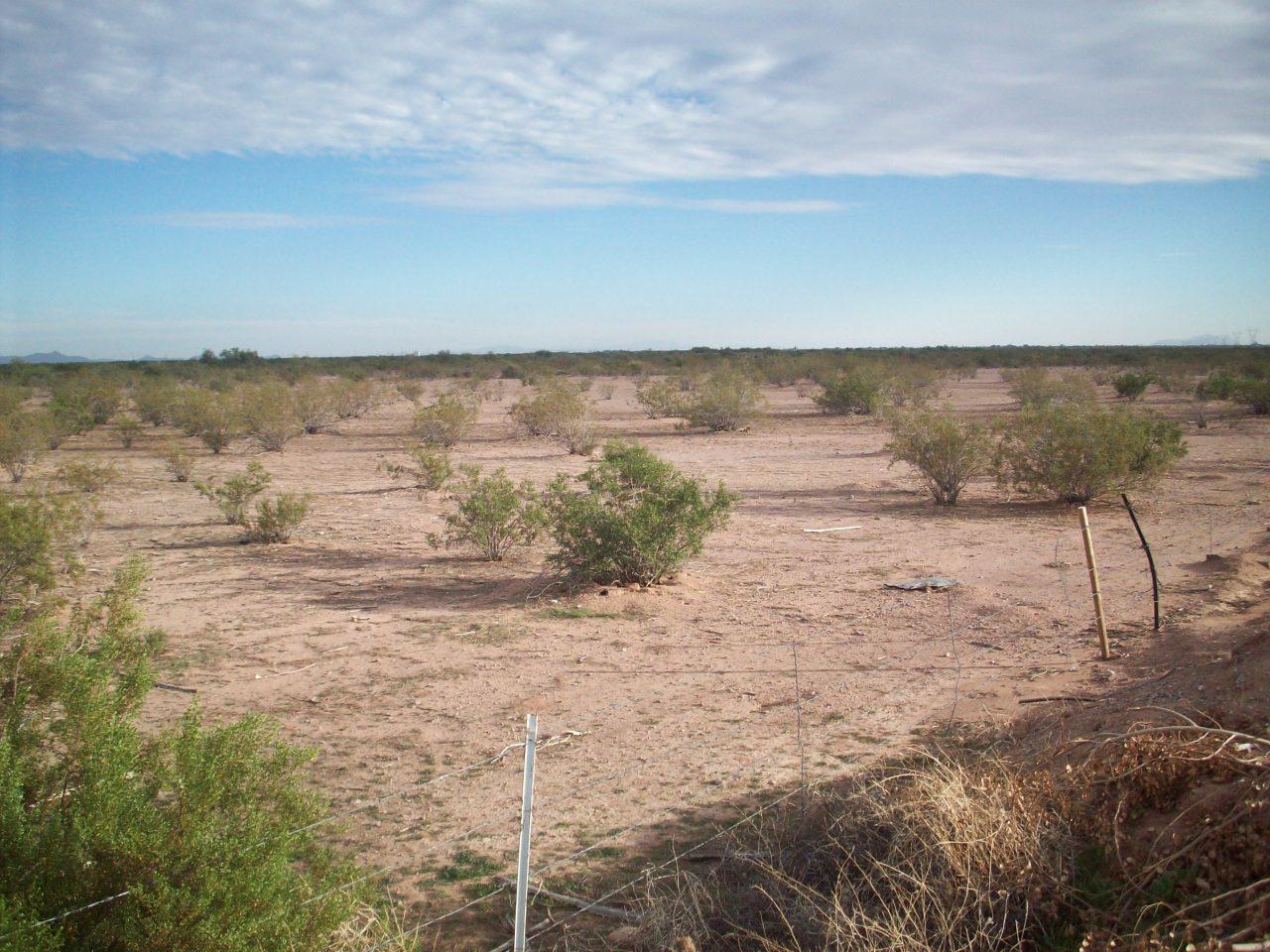 40417 Seven Ranch Road - Photo 1