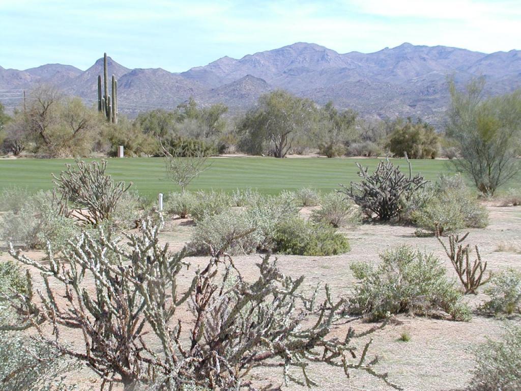 28009 Desierto Drive - Photo 1