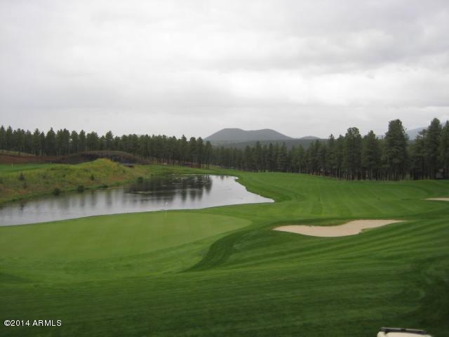 3490 Lead Rope - Photo 1