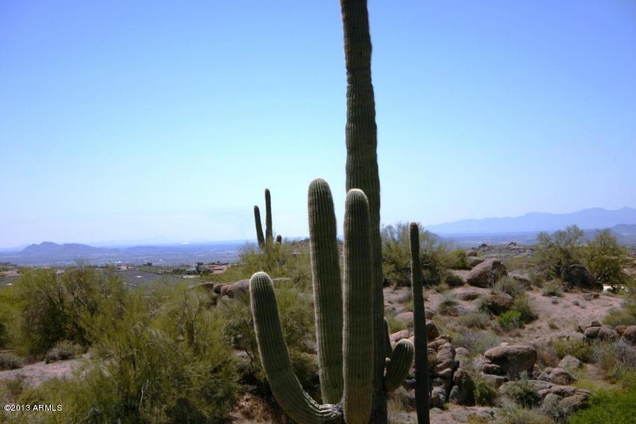 11132 Harris Hawk Trail - Photo 1