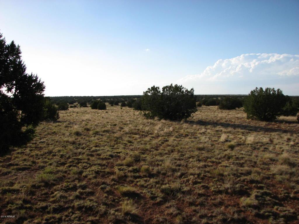 Lot 401 Chevelon Canyon Ranch 3 - Photo 1