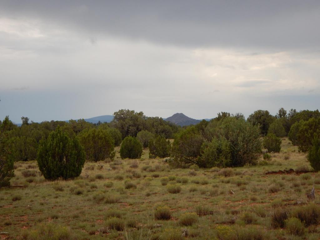 Lot 823 Hyde Park Road - Photo 1