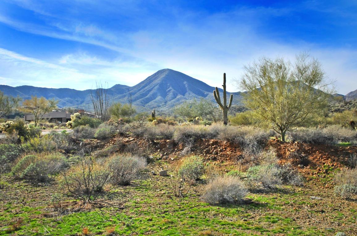 14340 Desert Tortoise Trail - Photo 1