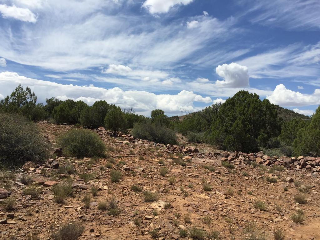 Lot 252 Lee Lea Lane - Photo 1
