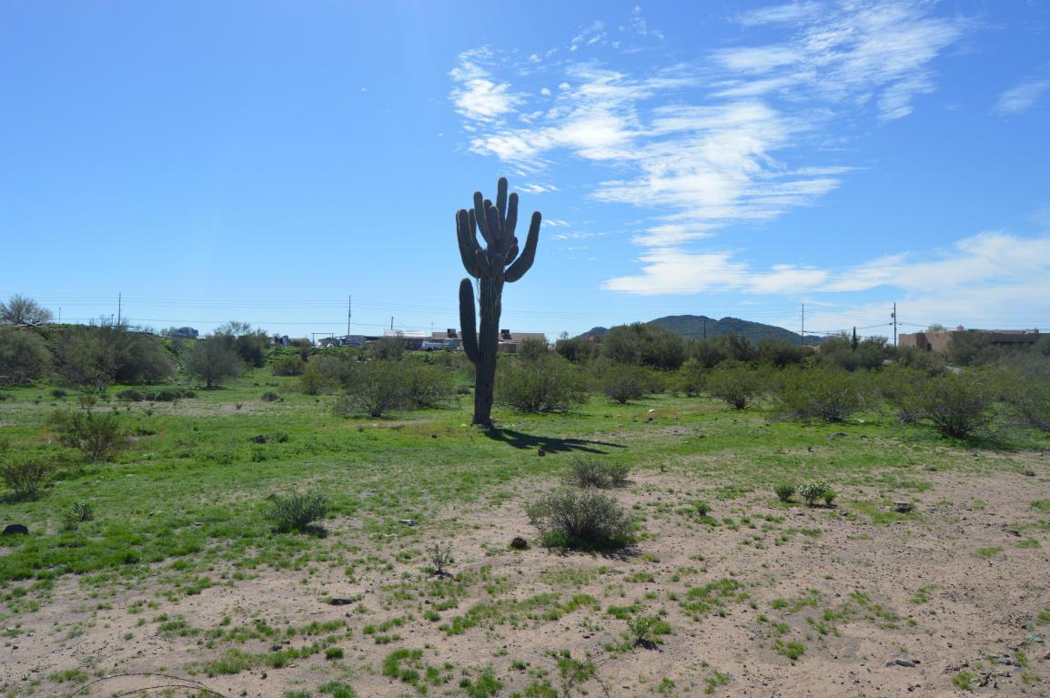 38823 N 17TH Avenue, Phoenix, AZ 85086 (MLS #5562841) :: Sibbach Team - Realty One Group