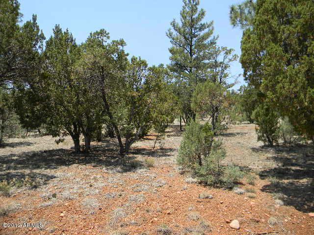 2760 Jaguar Circle - Photo 1