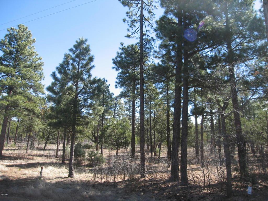 2625 Roundup Lane - Photo 1