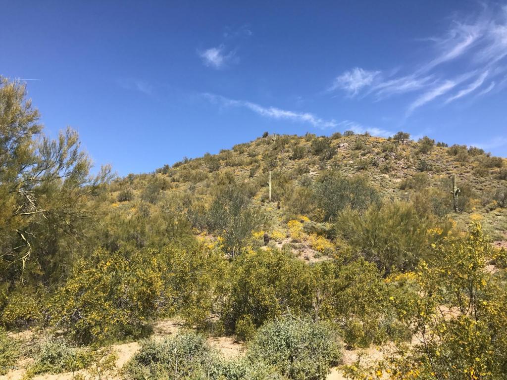 8300 Dixileta Drive - Photo 1